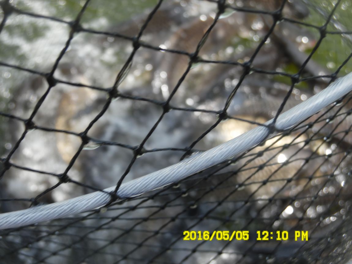 5��5�� 016.JPG