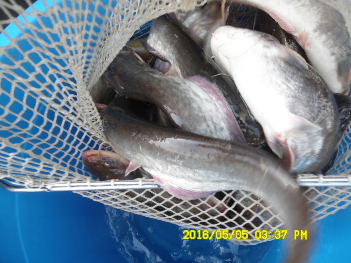 5��5�� 017.JPG