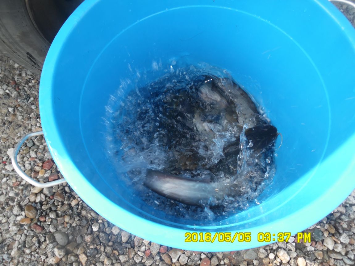 5��5�� 018.JPG