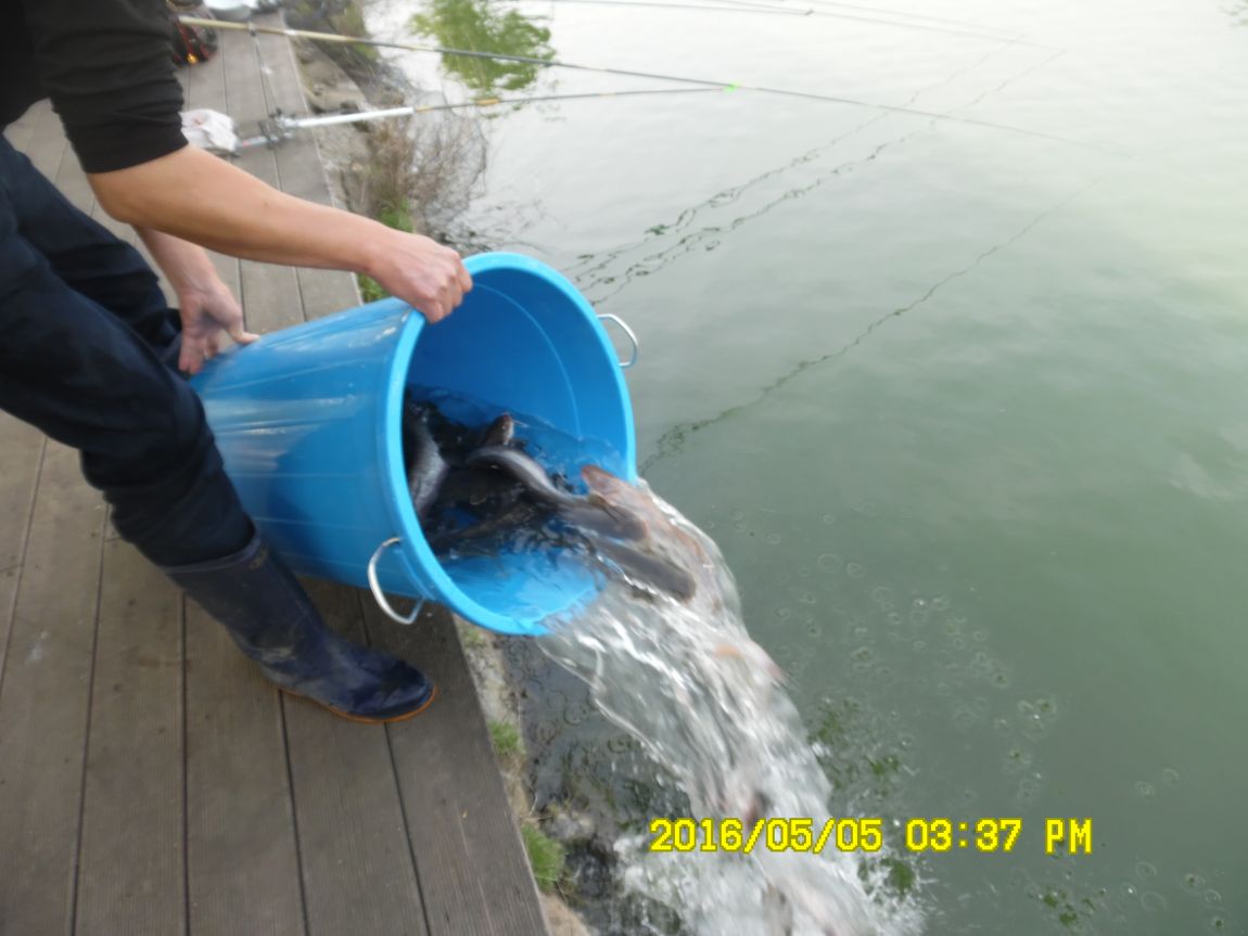 5��5�� 019.JPG