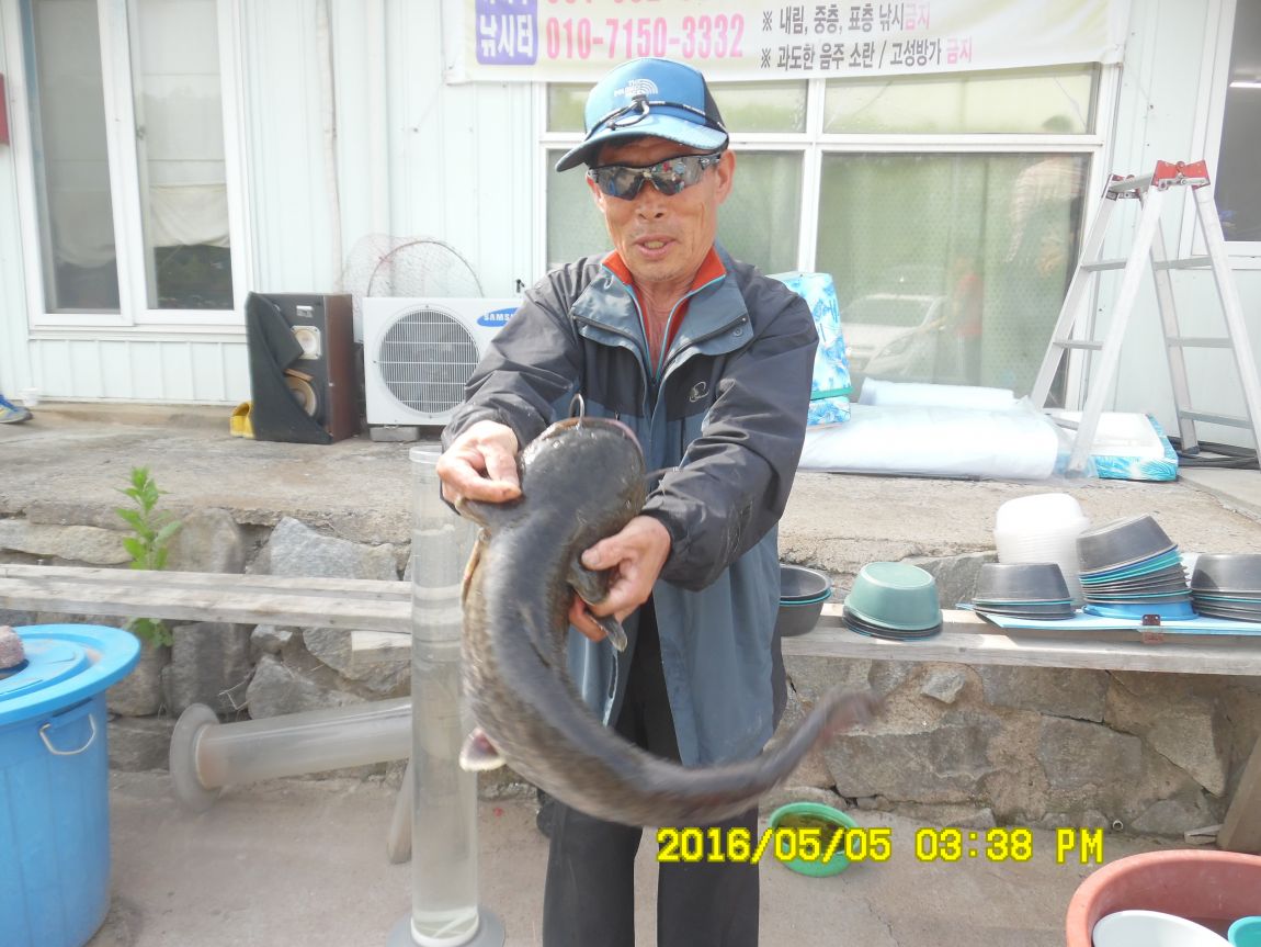 5��5�� 020.JPG