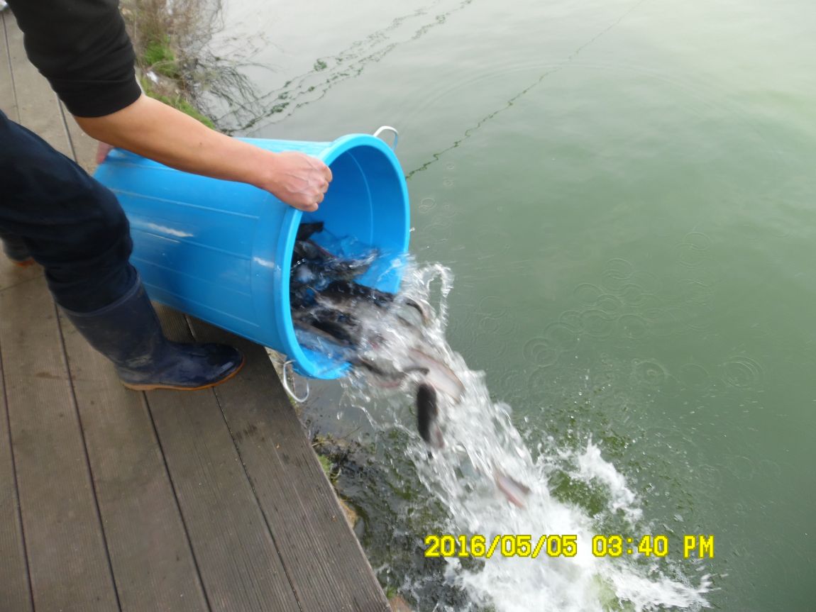 5��5�� 022.JPG