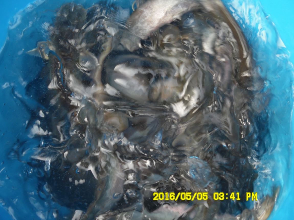 5��5�� 023.JPG