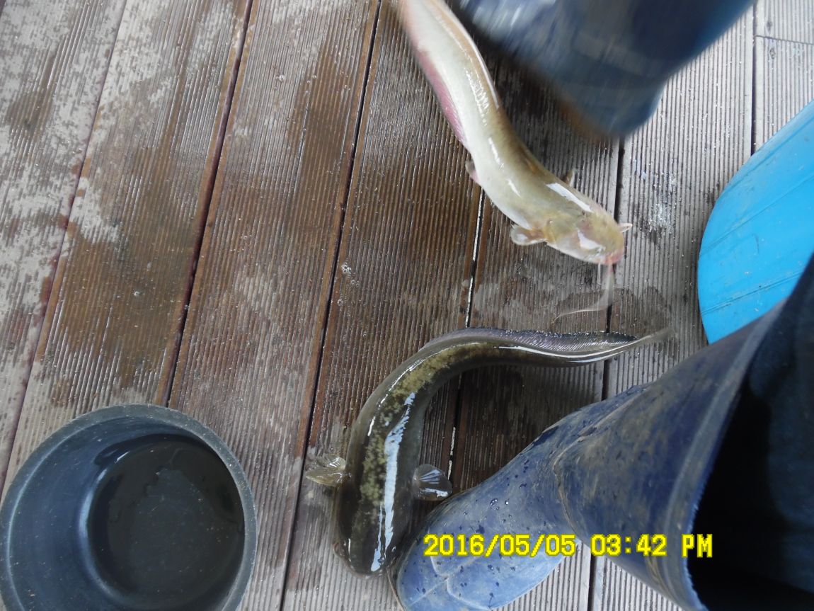 5��5�� 024.JPG