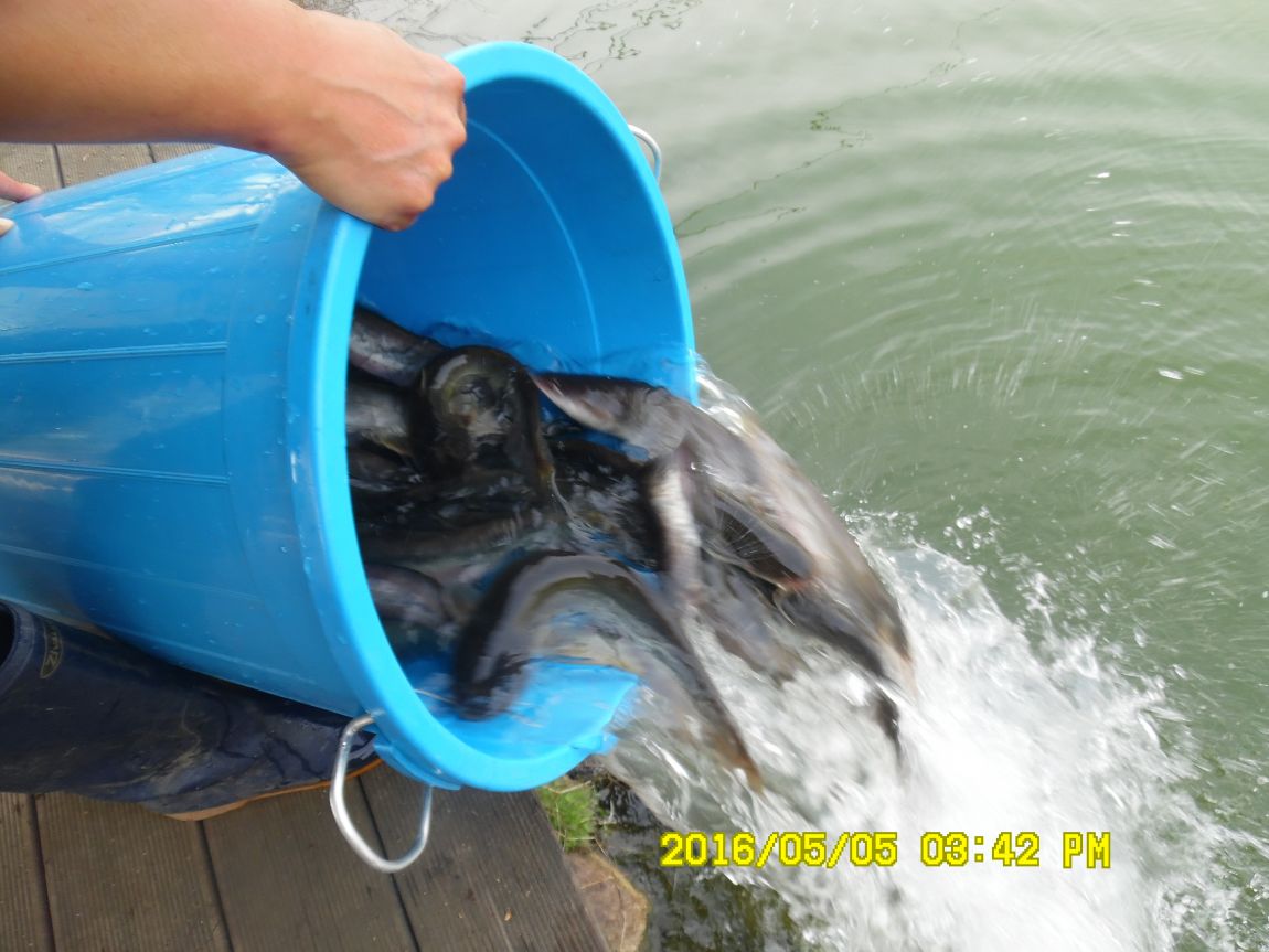 5��5�� 025.JPG