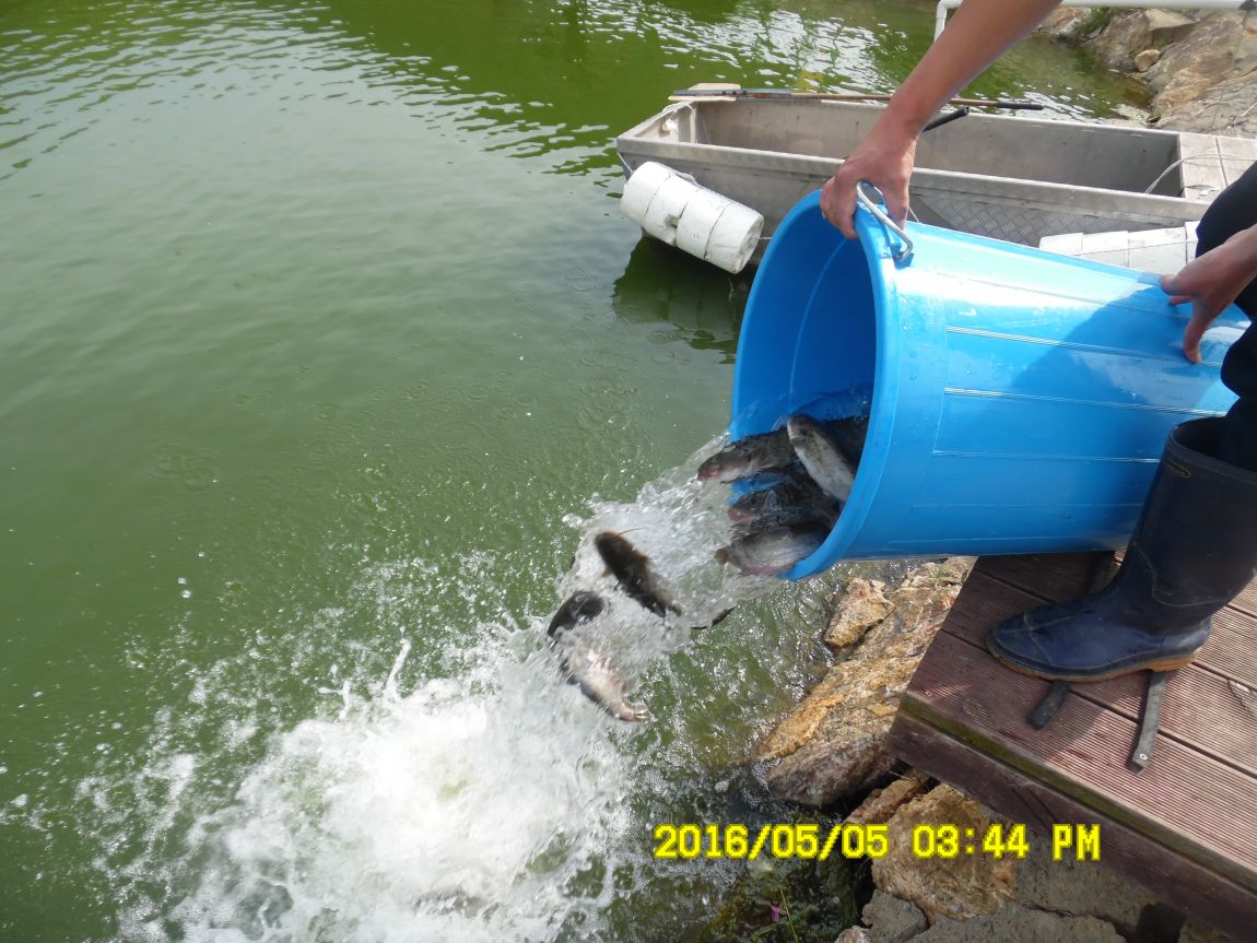 5��5�� 026.JPG