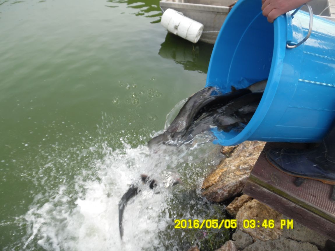 5��5�� 027.JPG