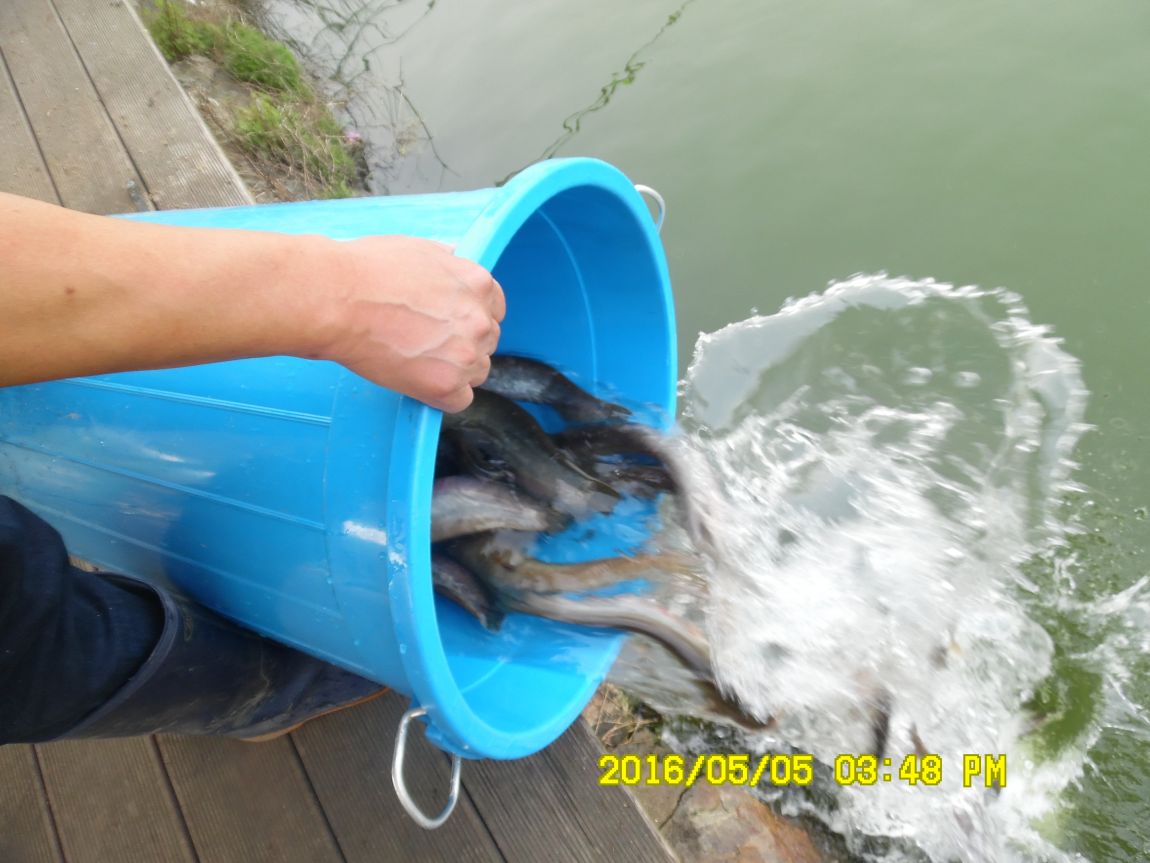 5��5�� 028.JPG