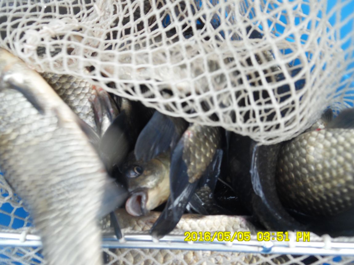 5��5�� 029.JPG