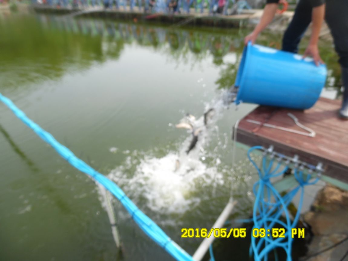 5��5�� 030.JPG