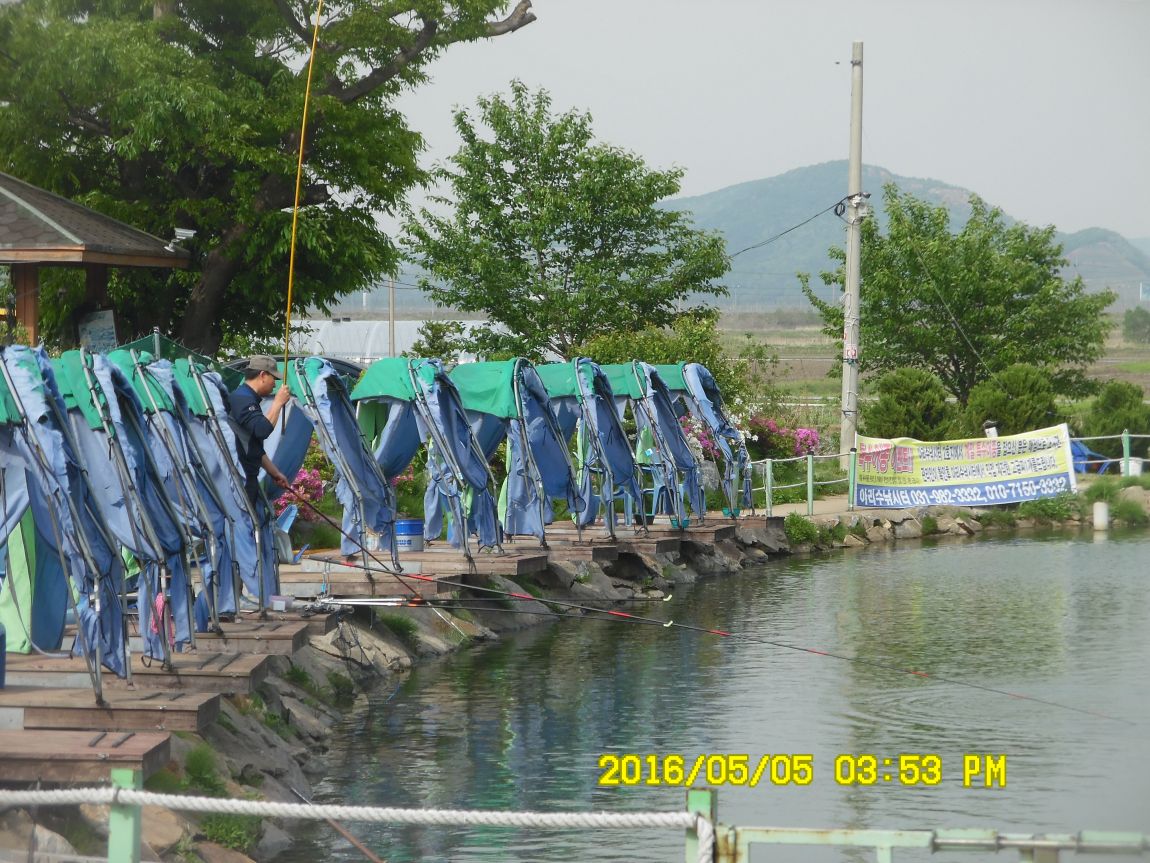 5��5�� 031.JPG