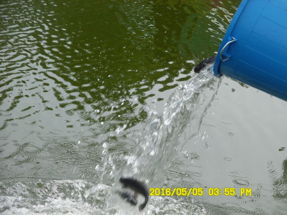 5��5�� 032.JPG