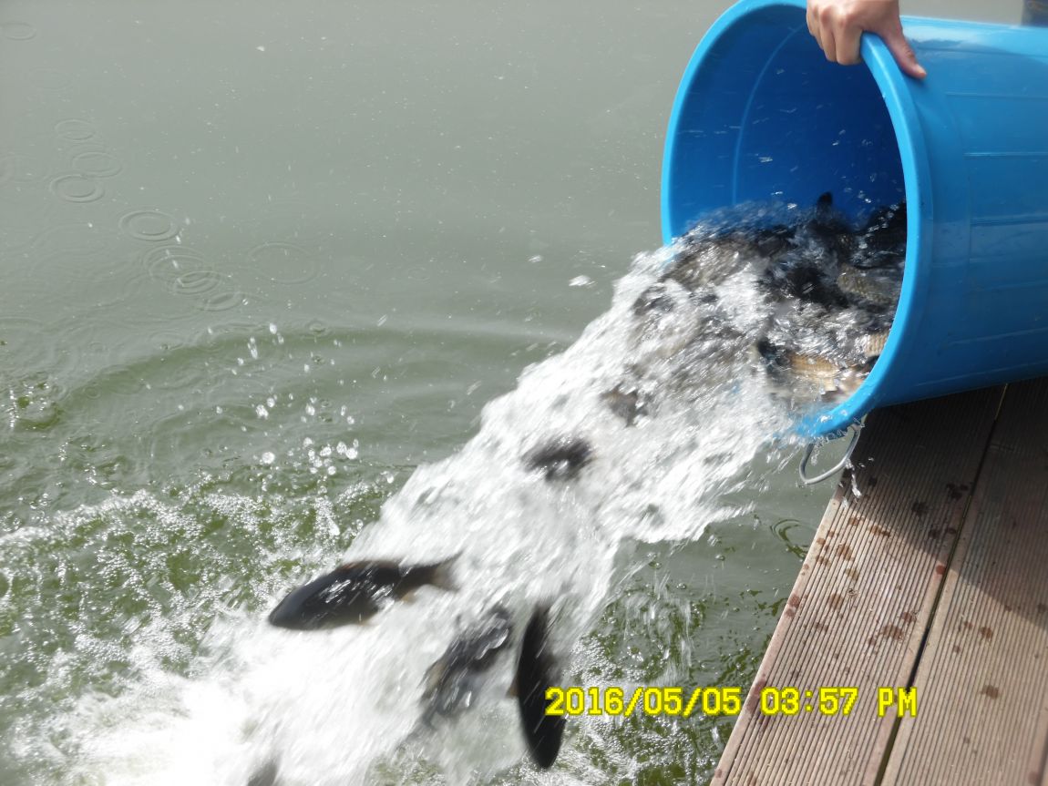 5��5�� 033.JPG