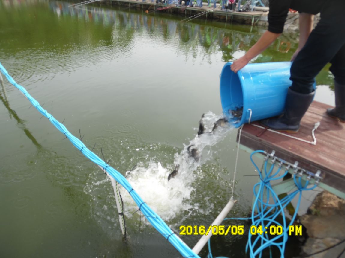 5��5�� 034.JPG