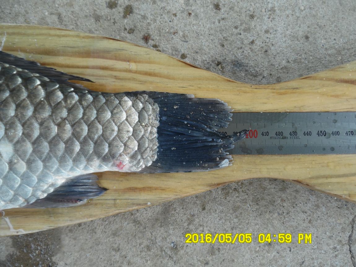 5��5�� 035.JPG