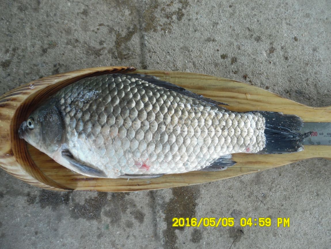 5��5�� 036.JPG