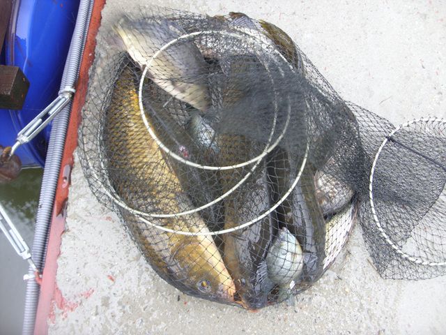 SDC17592.jpg