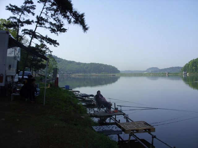 SDC17603.jpg