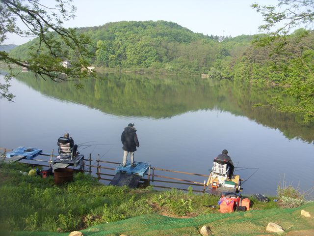 SDC17600.jpg