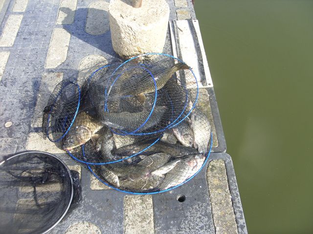 SDC17611.jpg