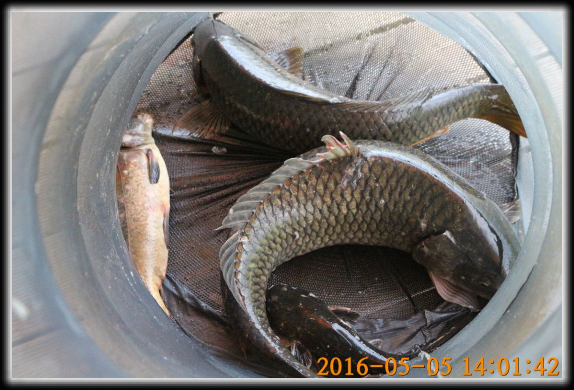 IMG_0023.jpg