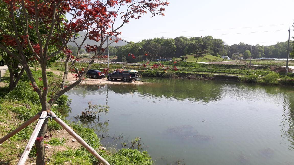 20160507_094707.jpg