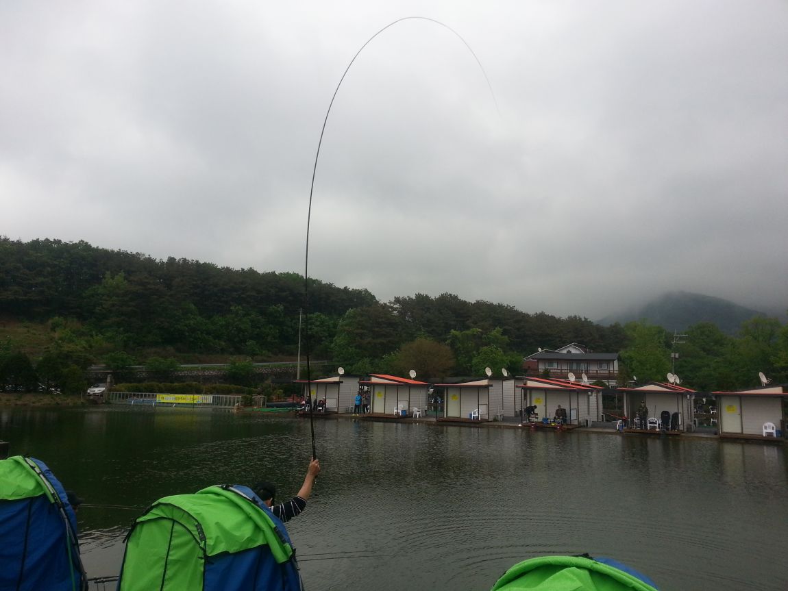 20160506_152455.jpg