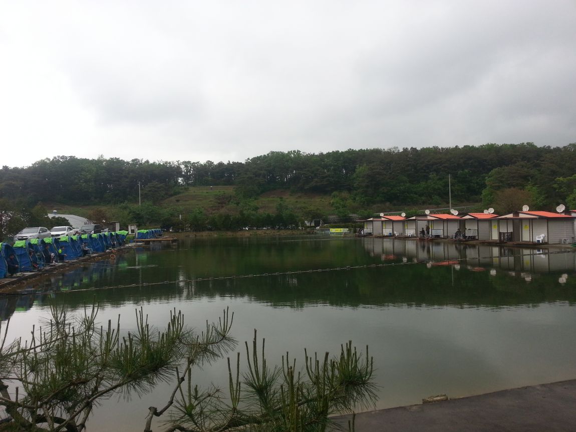 20160506_154610.jpg