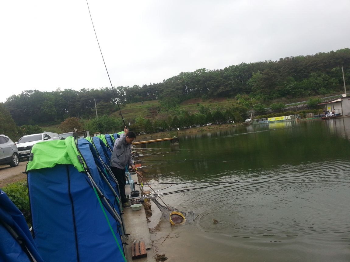 20160506_155404.jpg