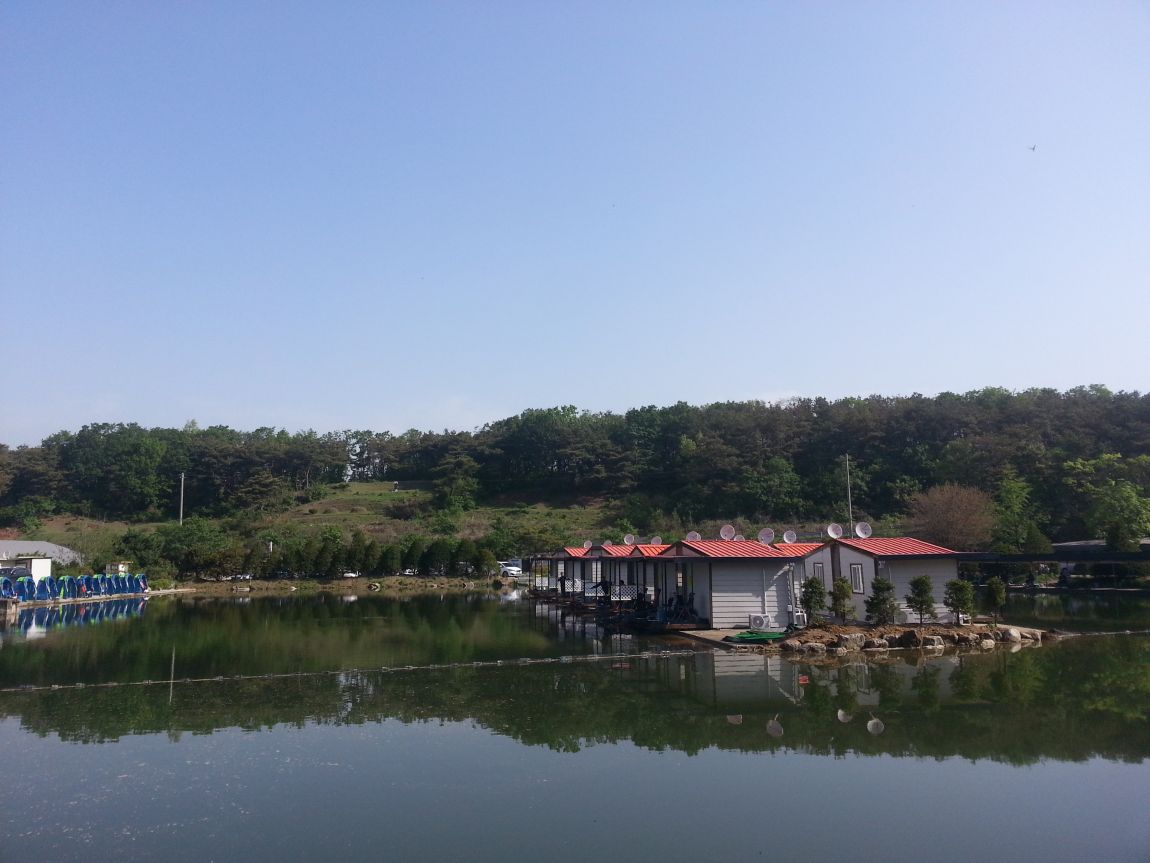 20160507_084713.jpg