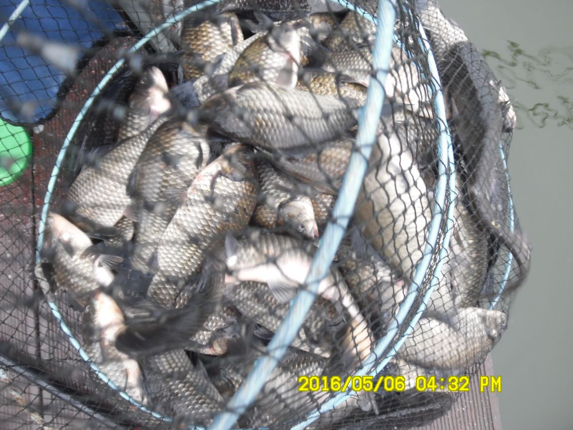 5��7�� 003.JPG