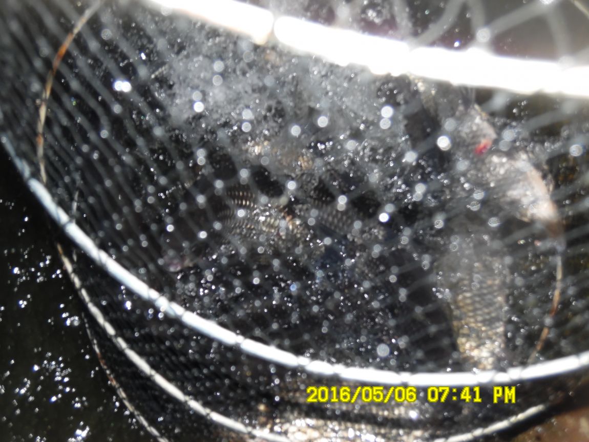 5��7�� 007.JPG