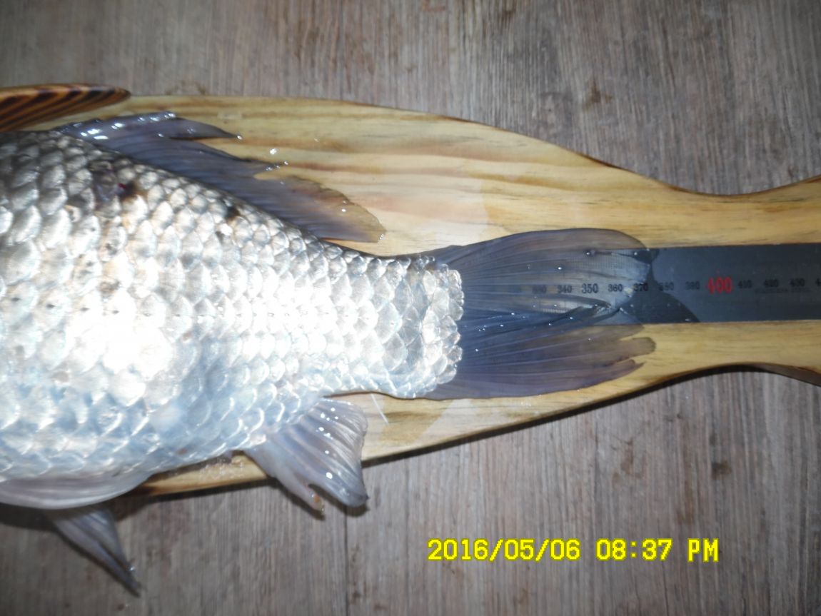 5��7�� 008.JPG