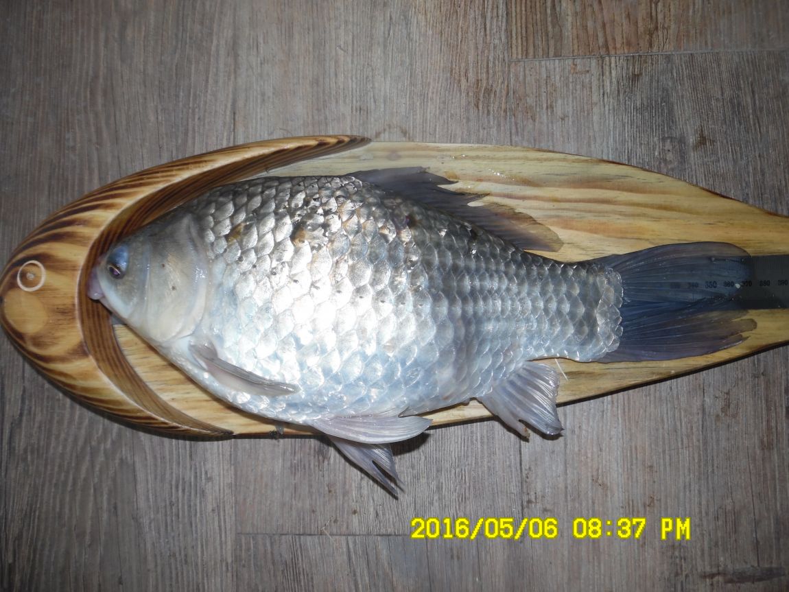 5��7�� 009.JPG