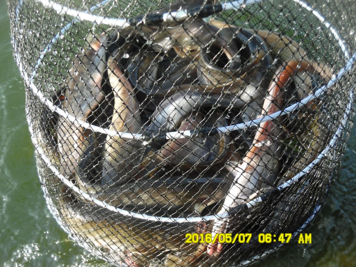 5��7�� 012.JPG