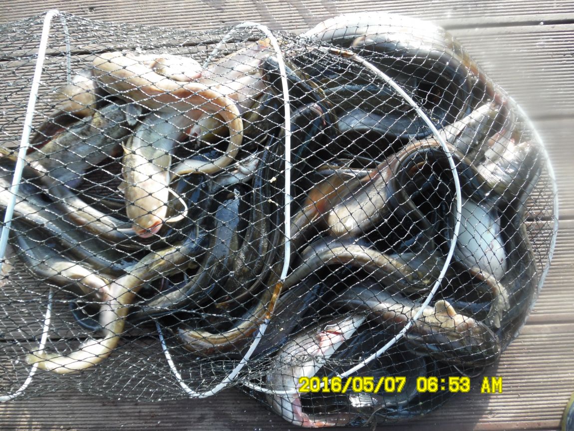 5��7�� 016.JPG