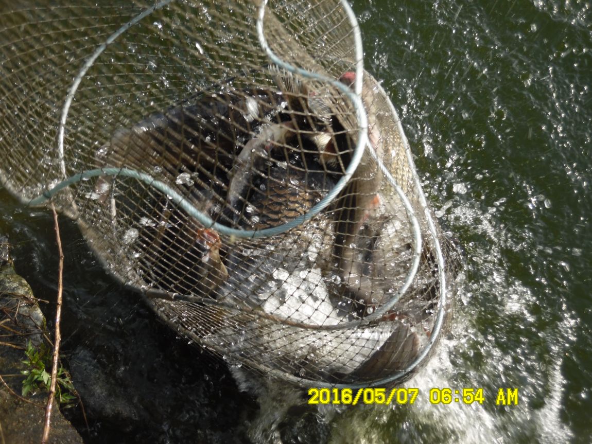 5��7�� 018.JPG