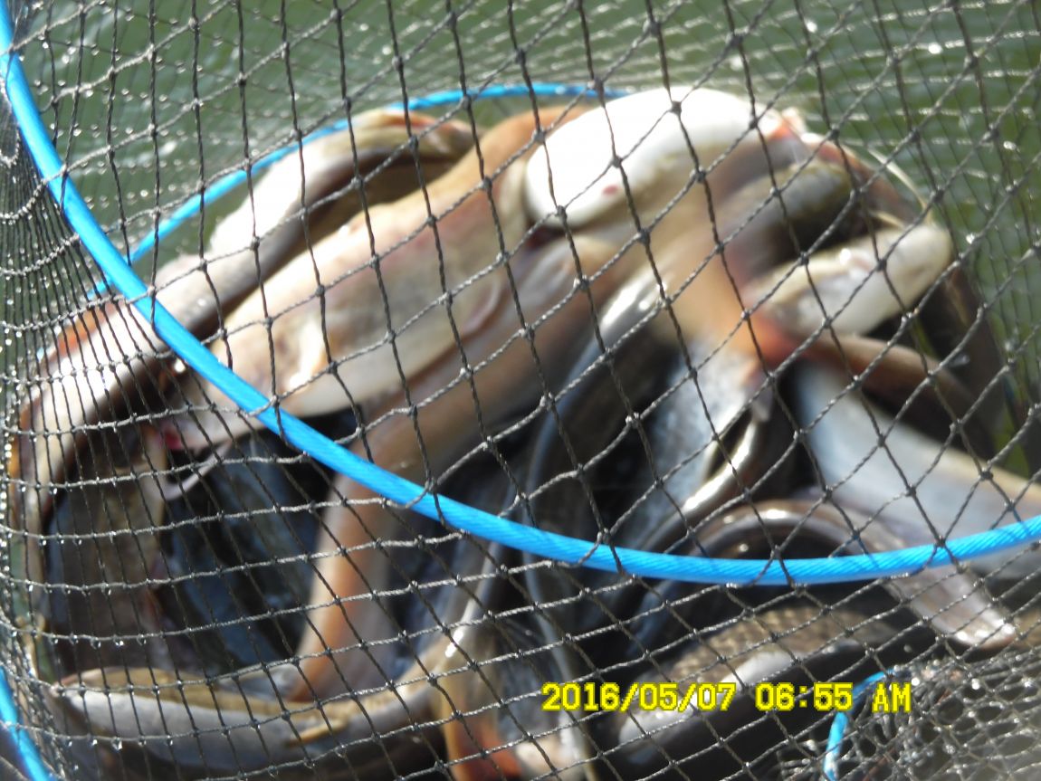 5��7�� 019.JPG