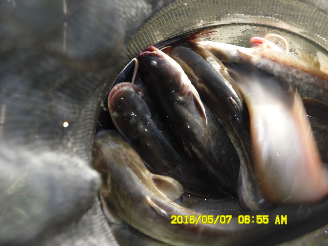 5��7�� 020.JPG