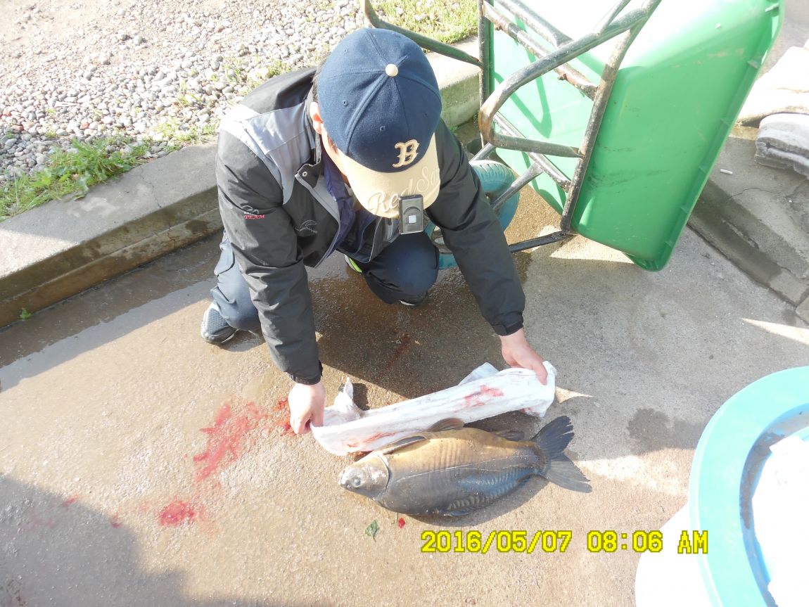 5��7�� 027.JPG