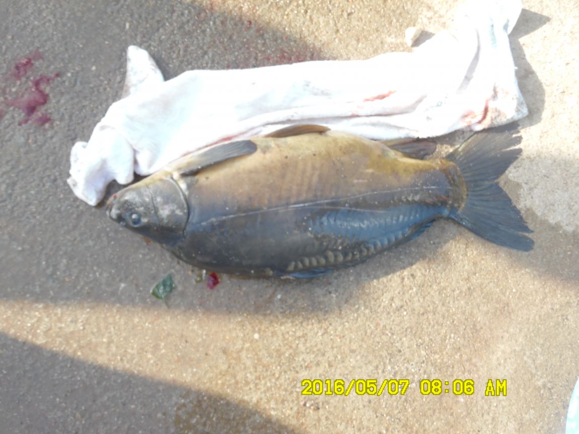 5��7�� 028.JPG