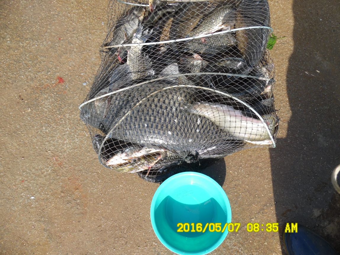 5��7�� 032.JPG