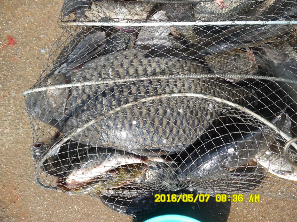 5��7�� 033.JPG