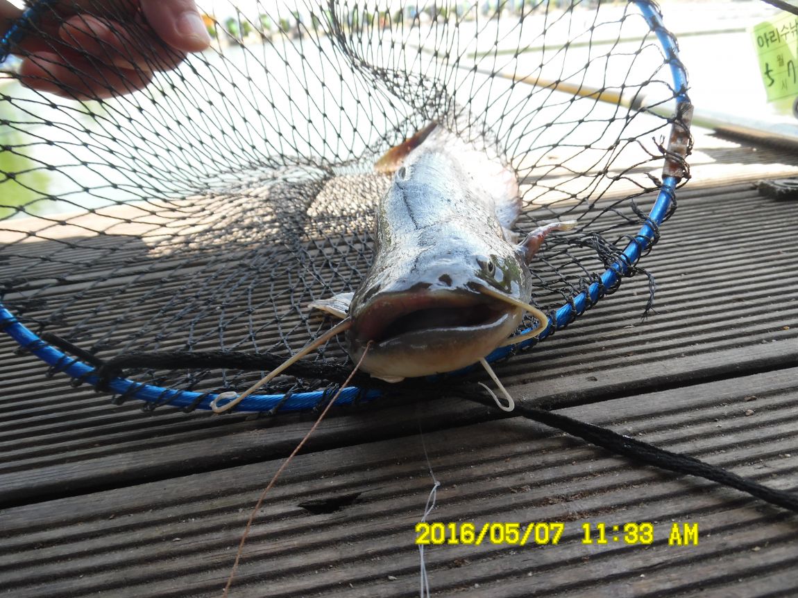 5��7�� 035.JPG