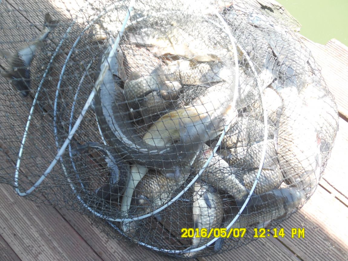 5��7�� 036.JPG