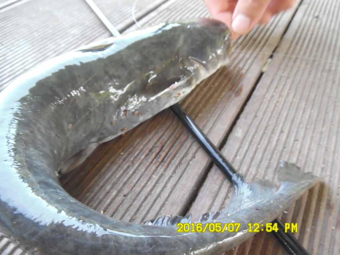 5��7�� 039.JPG