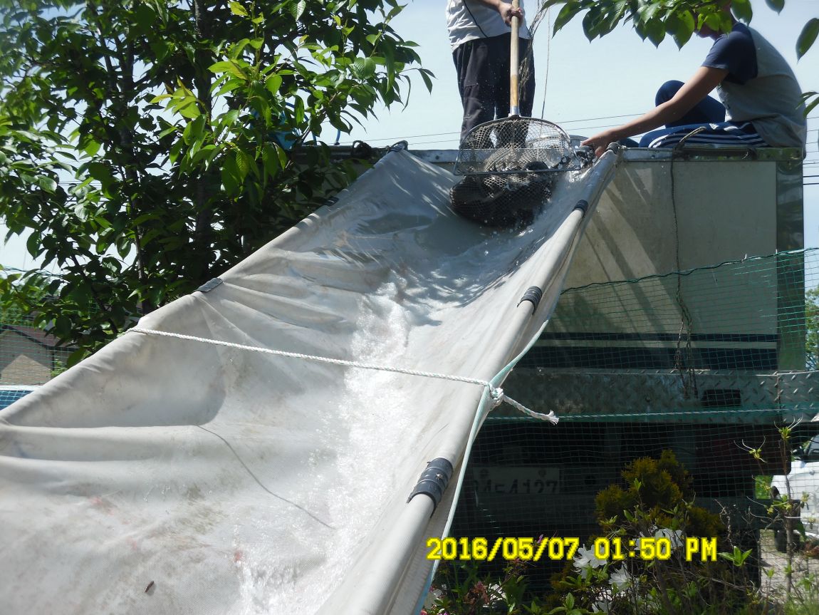 5��7�� 041.JPG