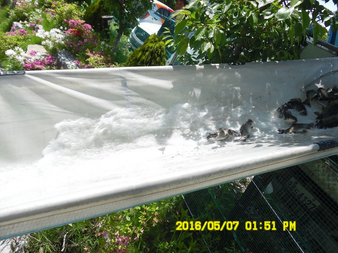 5��7�� 046.JPG