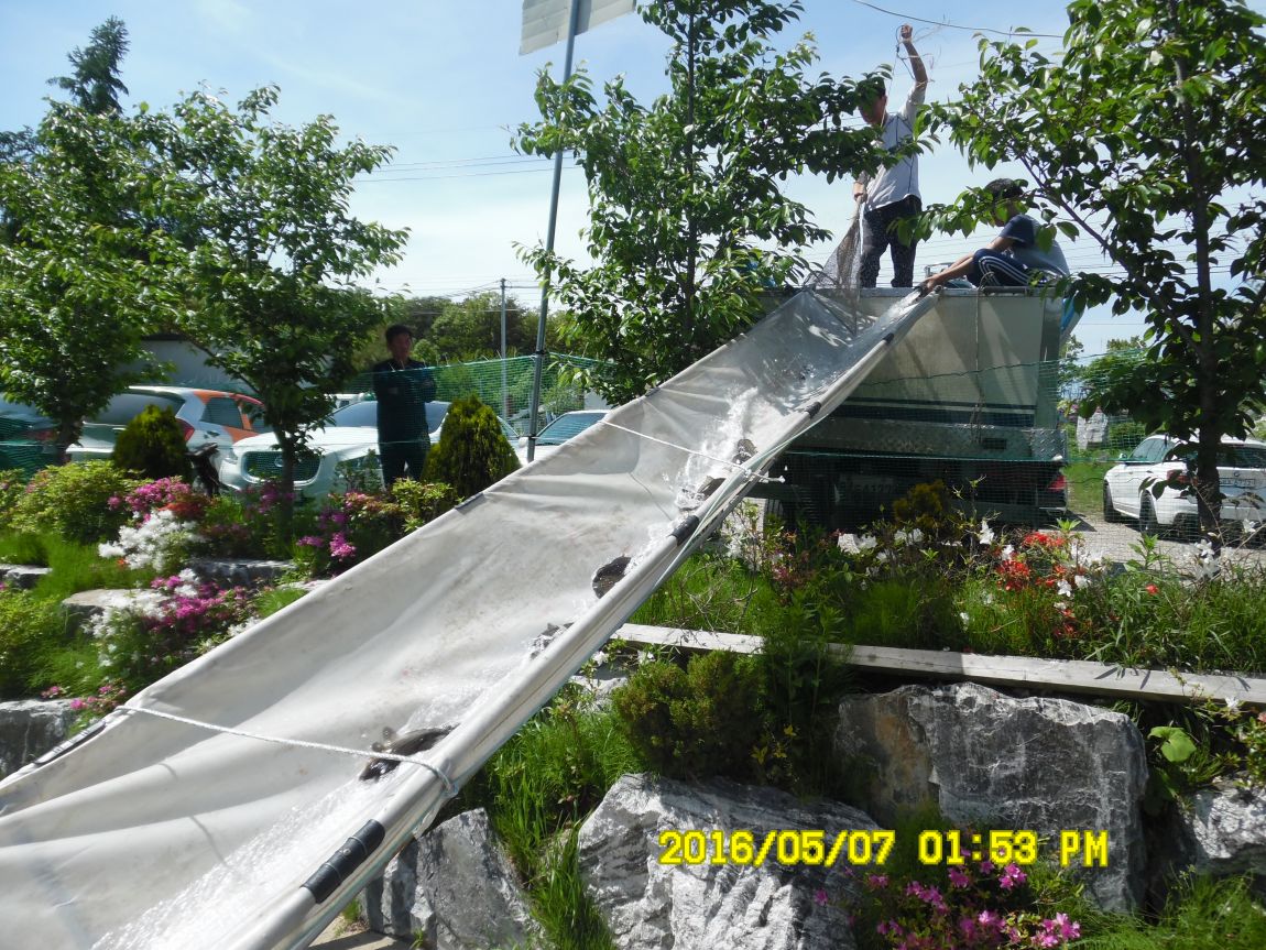 5��7�� 051.JPG