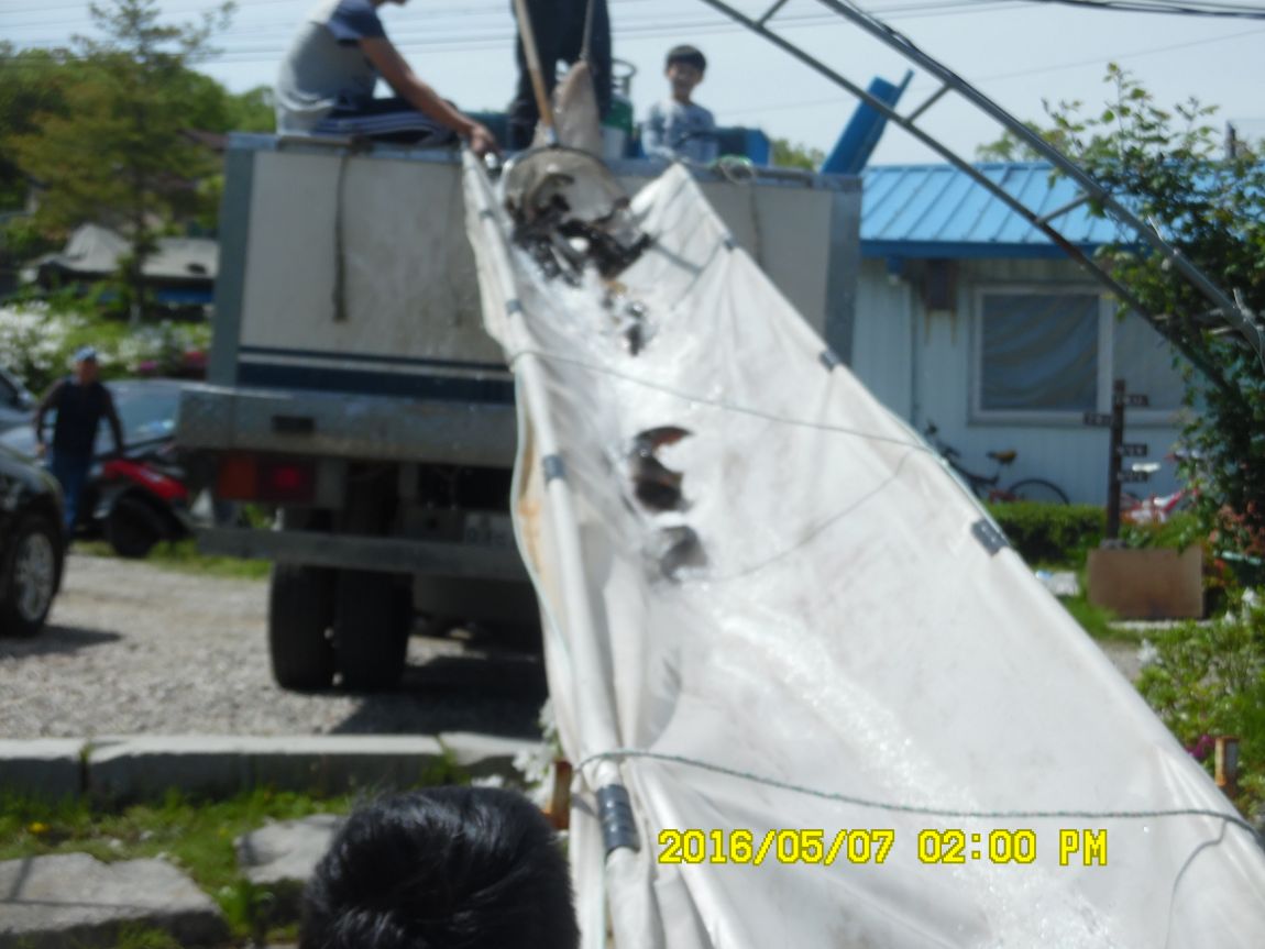 5��7�� 052.JPG